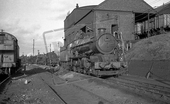 6003 1950s Laira