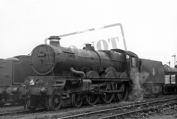 7016 1950s Oxford Shed