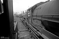 69999 1955 Gorton shed