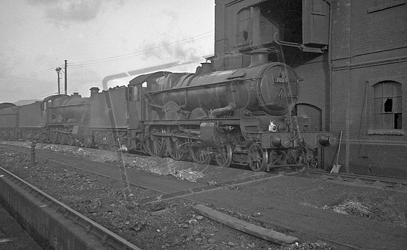 7025 1956 Laira