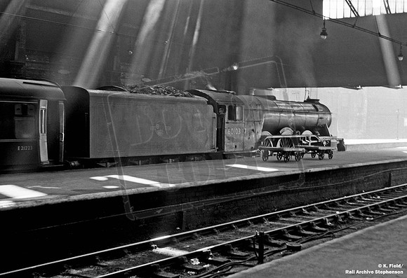60103 1950s Bradford Exchange