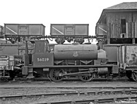 56039 1959-09-13 Dawsholm