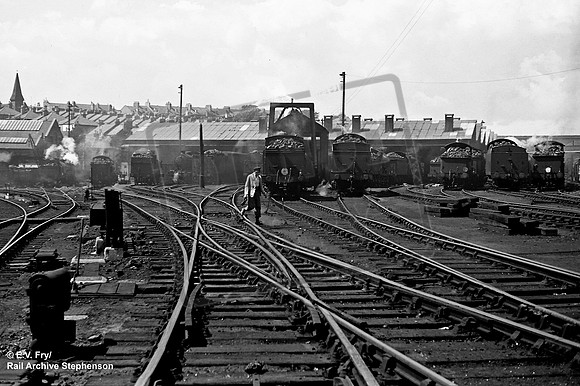 Shed 1954-07-04 Brighton
