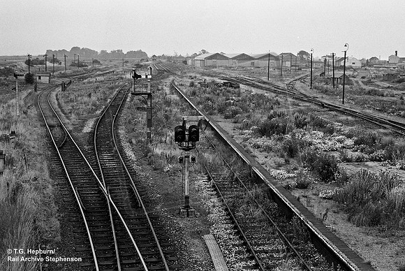 South Lynn 1960s