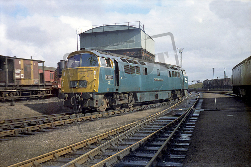 Rail-Online | Class 52 Western | D1009 1971-09-26 Cardiff Canton