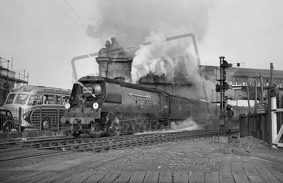 34091 1955-08-04 Dover Marine