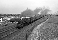 73038 1950s Moore
