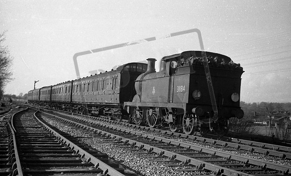 31184 1950c Penshurst  -ROneg-1909-892-069
