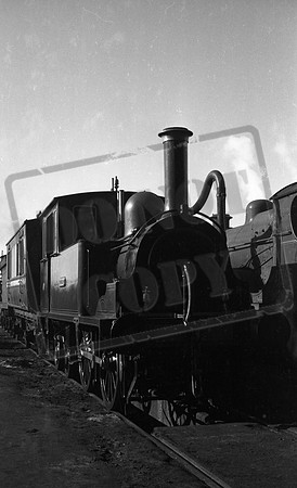 Dunrobin  1950-03 Ashford  shed -ROneg-1909-892-281