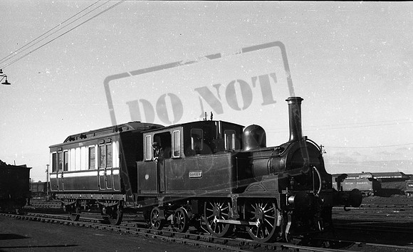 Dunrobin  1950-03 Ashford  shed -ROneg-1909-892-283