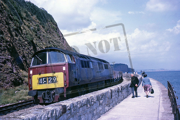 D1013 1967-07-19 Teignmouth
