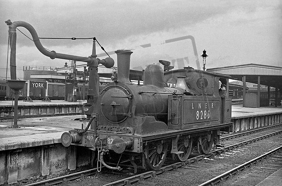8286 1948-10-03 York