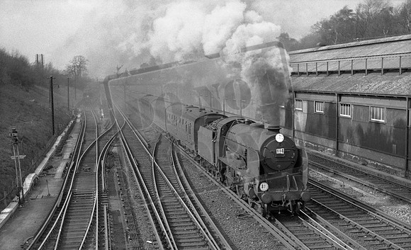 30926 1961 Orpington