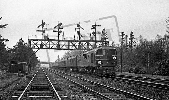 10202 1951c Fleet