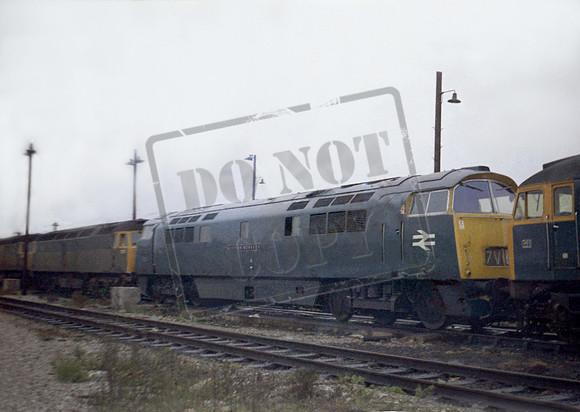 D1049 1971c where