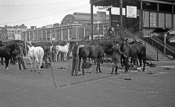 Kensington Olympia 1970-06-07