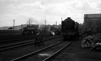 60512 1965 Perth-ROneg-1612-480-081