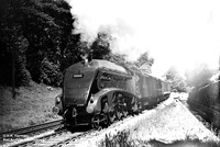 60004 1949-06-14 Penmanshiel
