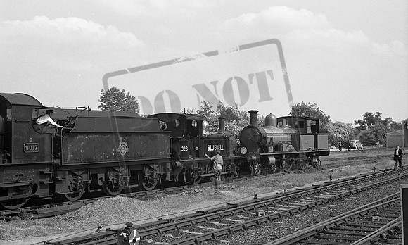 323 1961c Bluebell-ROneg-1512-278