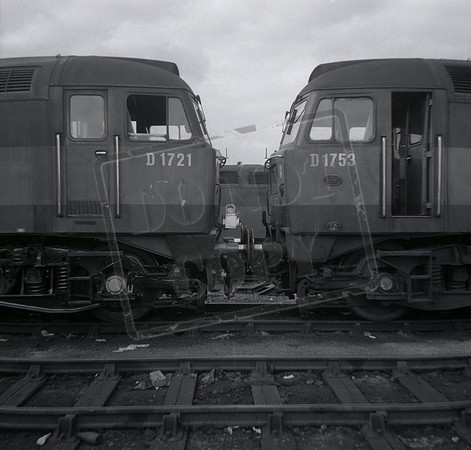 D1753 1965c undated Old Oak