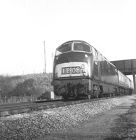 D832 1967-02-04 Summer Lane-ROneg-1308-395