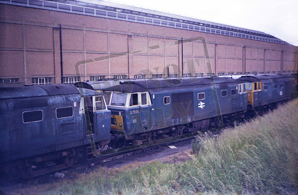 D7036 1972 Old Oak Common