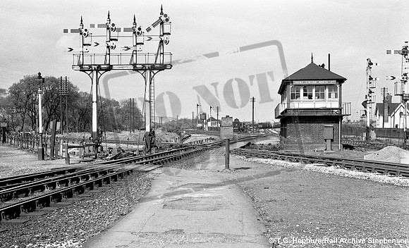Trent 1950s