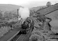 84012 1950s Measurements Halt
