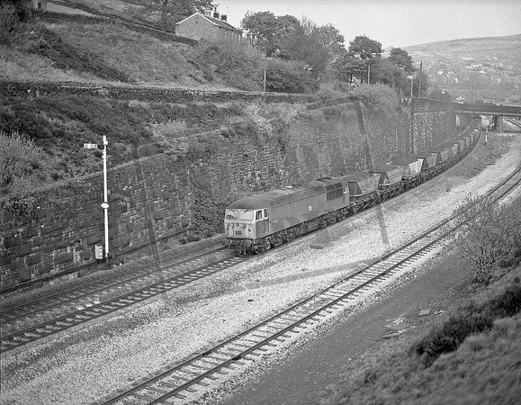 56032 1982c Marsden