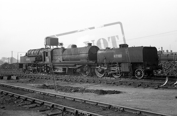 47981 1953 Hasland