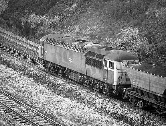 56026 1982c Marsden