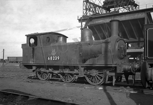 68239 1950s Darlington shed