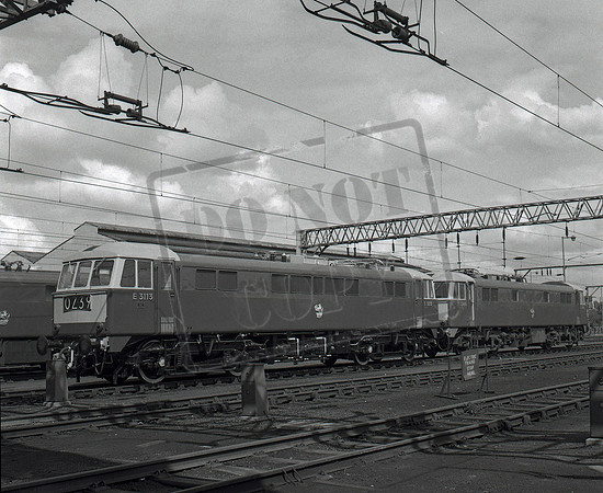 E3113 E3164 1965 Crewe