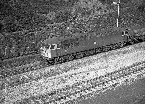 56021 1982c Marsden