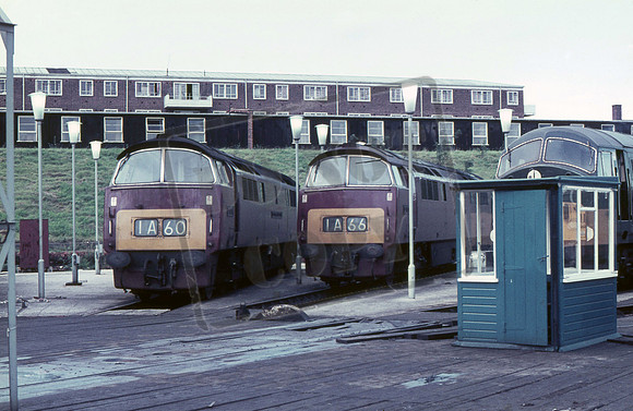 D1016 1964c Old Oak Common