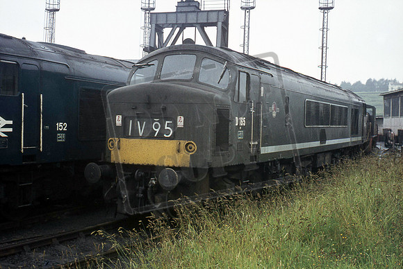 D165 1972 Laira