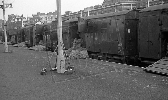 Household cavalry train 1970-06-07 Kensington Olympia