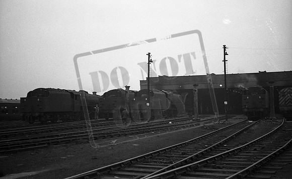 Shed 1967 Aintree -ROneg-1612-488-078