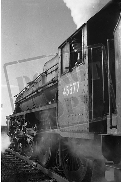 45377-ROneg-JC-1001