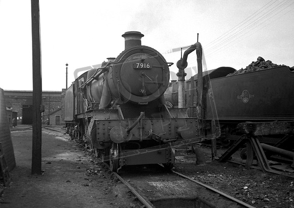 7916 1960s Laira