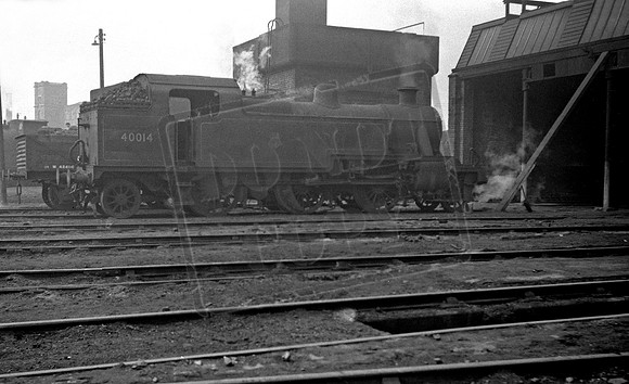 40014 1955-03-19 Lees