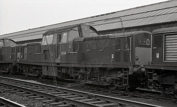 D8559 1964-08-16 St Margarets