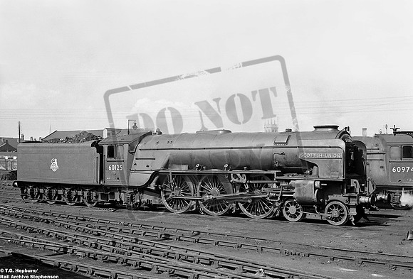 60125 1950s Grantham shed