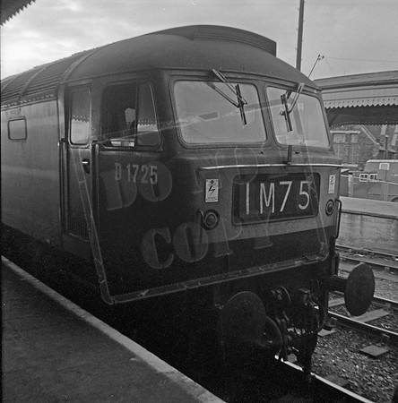 D1725 1966c
