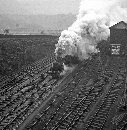 42730 1960s Longwood Goods