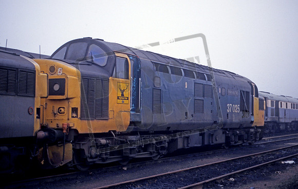 37025 1996-12-07 Bescot