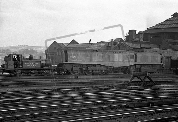 36001 1951c Brighton