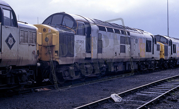 37063 1995-05-29 Thornaby