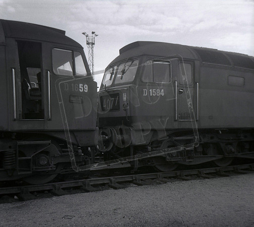 D1584 D1659 1964c