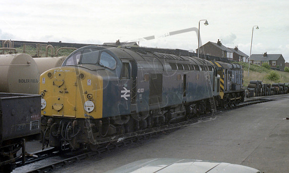 40001 Springs Branch 1979